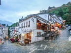 P1006864 (1518 visits) P1006864