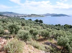 P1006930