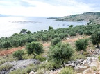 P1006931