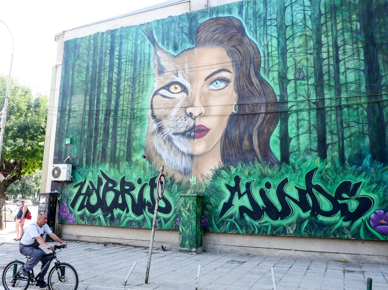 P1008181.jpg