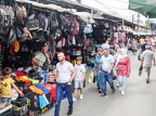 P1008435 (1613 visits) P1008435