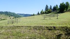 P1009188g