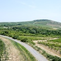 P1019539