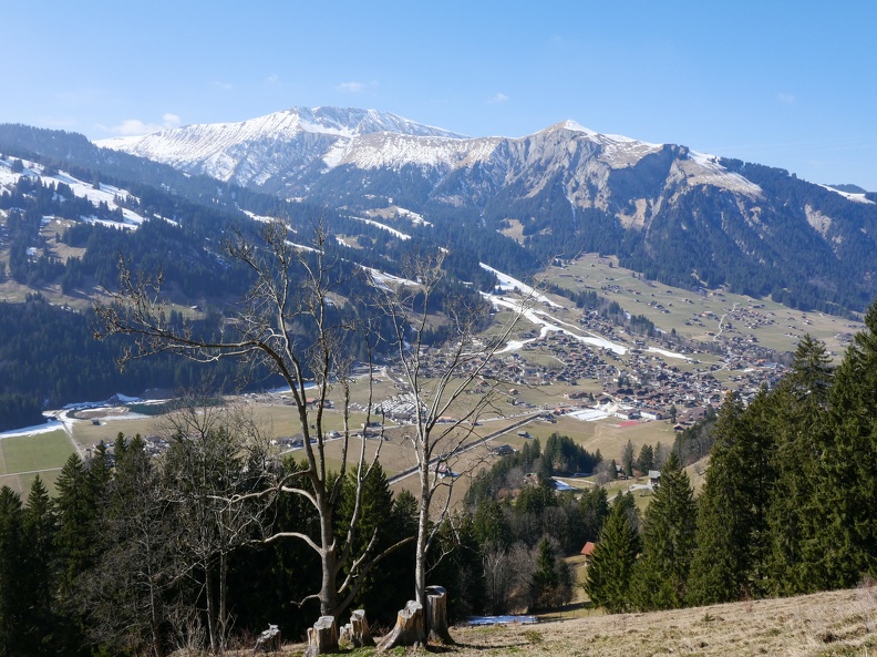 Lenk-4.jpg