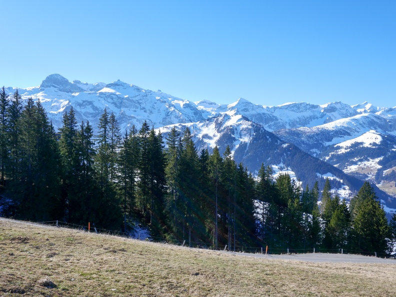 Lenk-7.jpg