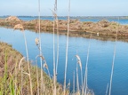 Orbetello-13