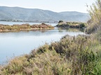 Orbetello-14