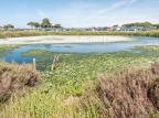 Orbetello-23