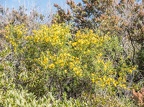 Parc de la Maremme-03