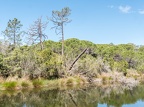 Parc de la Maremme-09