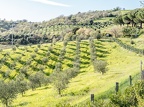 La Maremme en Toscane