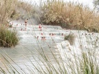 Saturnia-12