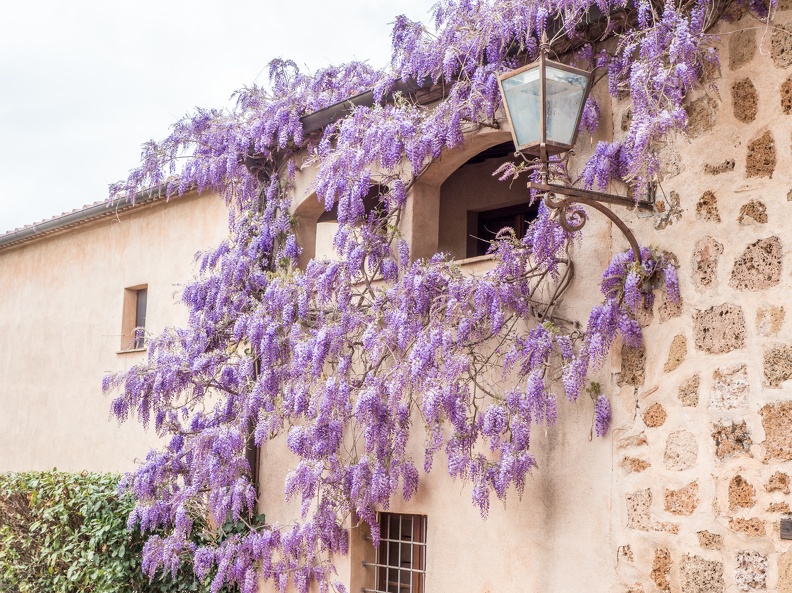 Cita del Tufo-34.jpg