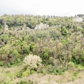 Cita del Tufo-49