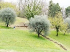 Giardino Daniel Spoerri-039