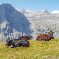 LeukerbadValais2023-16