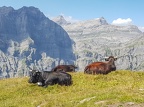 LeukerbadValais2023-16