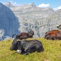 LeukerbadValais2023-17