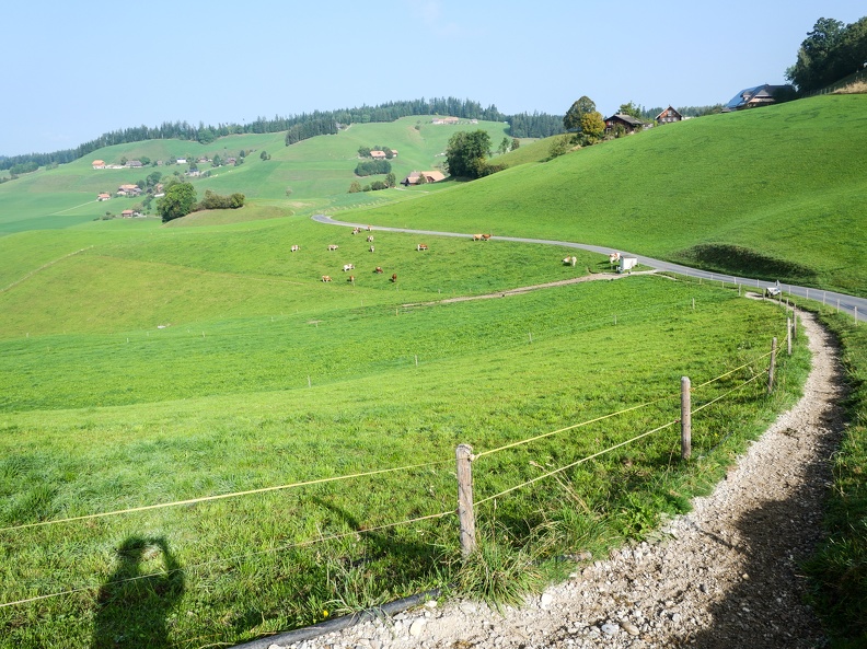 HerzRoute499-8.jpg