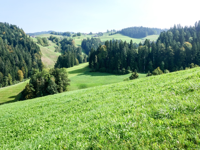HerzRoute499-14.jpg