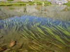 Lacs de montagne du Mercantour 13