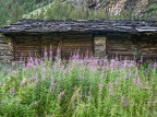 Rando à la cabane Leonessa 10
