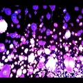 PipilottiVideo