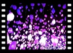 PipilottiVideo