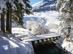 Neige