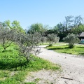 013 Sorgues 03