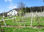 ChirsiRoute-38