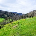 ChirsiRoute-48