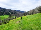 ChirsiRoute-48
