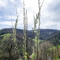 ChirsiRoute-49
