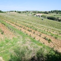 01 Châteauneuf-du-Pape 02