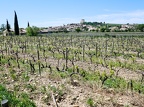 Côtes-du-Rhône, France