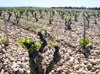 Côtes-du-Rhône Vignobles 14