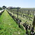 Côtes-du-Rhône Vignobles 17