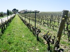 Côtes-du-Rhône Vignobles 17
