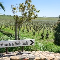 Côtes-du-Rhône Vignobles 18