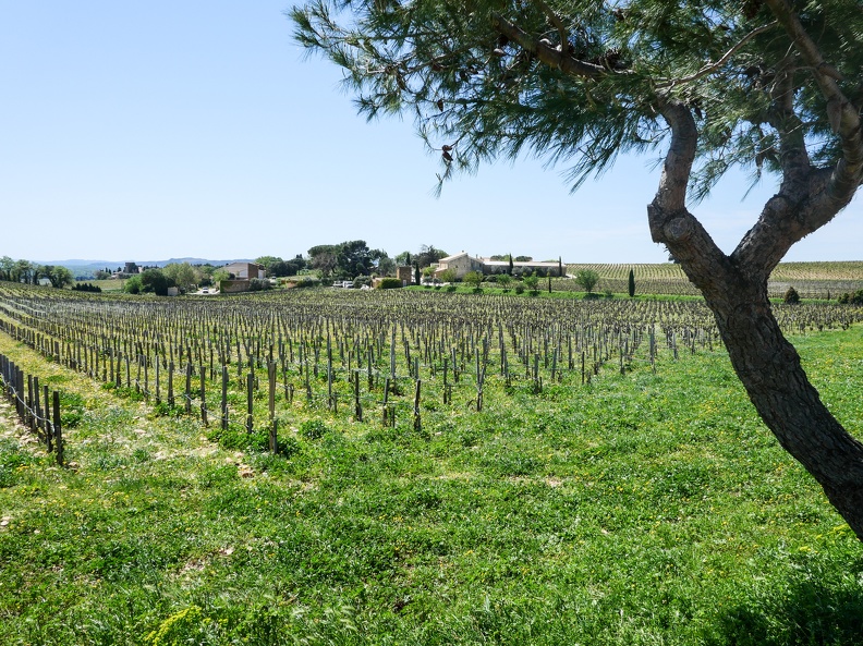 CôtesDuRhôneVignobles-13.jpg