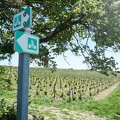 Côtes-du-Rhône Vignobles 20