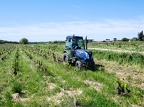 Côtes-du-Rhône Vignobles 23