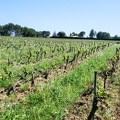 Côtes-du-Rhône Vignobles 33