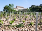 Côtes-du-Rhône Vignobles 35