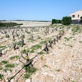Côtes-du-Rhône Vignobles 36