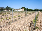 Côtes-du-Rhône Vignobles 38