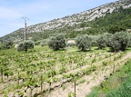 Côtes-du-Rhône Vignobles 45