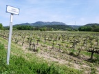 Côtes-du-Rhône Vignobles 51