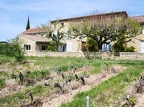 Côtes-du-Rhône Vignobles 52